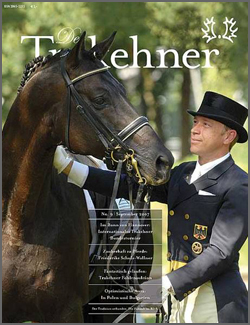 K2/Trakehner