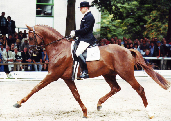 BUNDESCHAMPIONAT